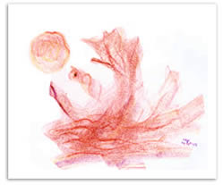 Das Goldene Boot Das Goldene Boot